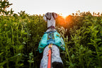 Trail light dog backpack