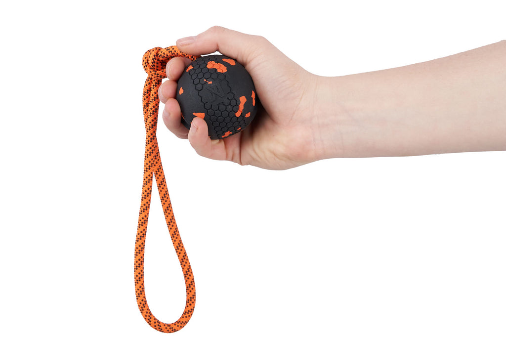 Dog ball on rope