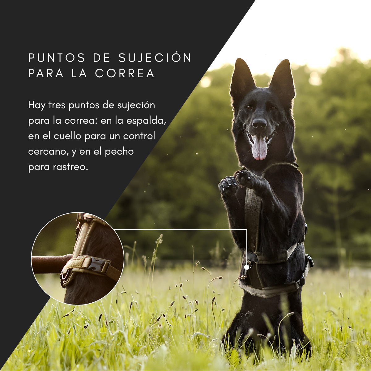 Line harness long WD