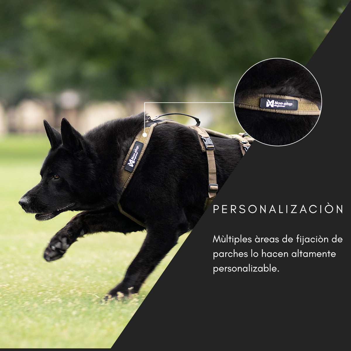 Line harness long WD