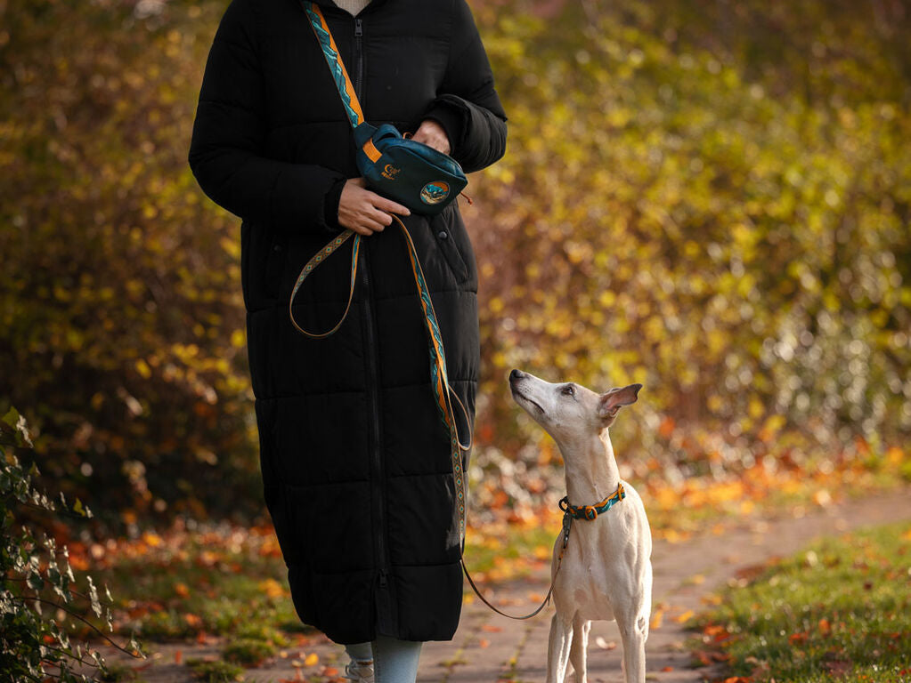 Trail quest fanny pack Rachel Pohl edition