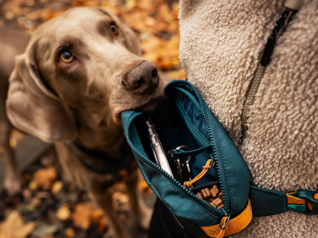 Trail quest fanny pack Rachel Pohl edition