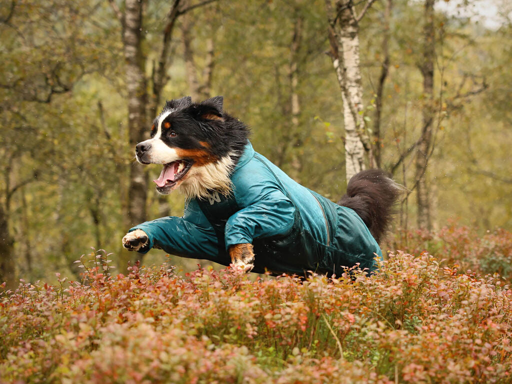 Fjord overall raincoat