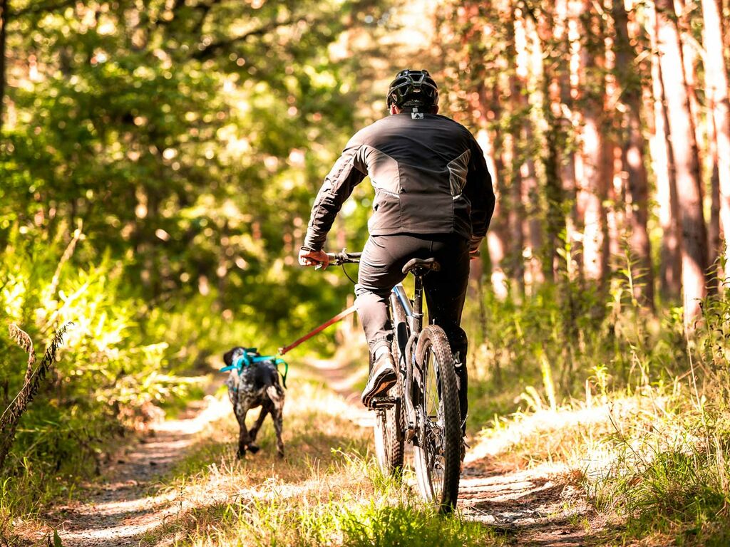 Canix warm-up jacket men's