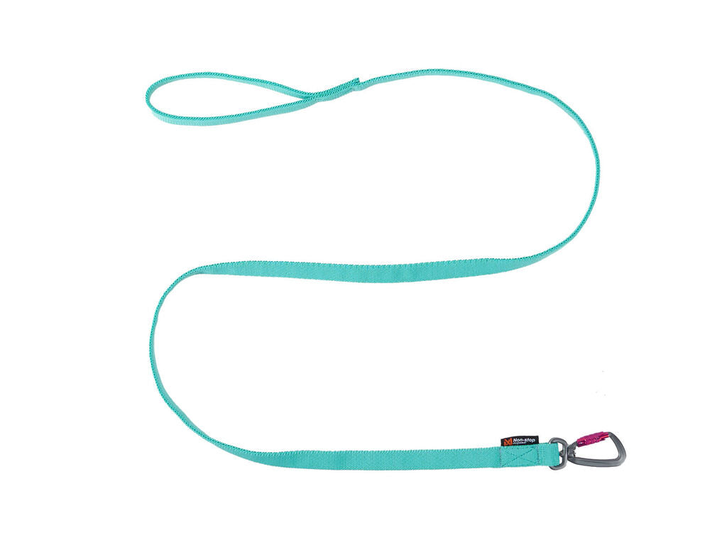 Bungee leash