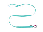 Bungee leash