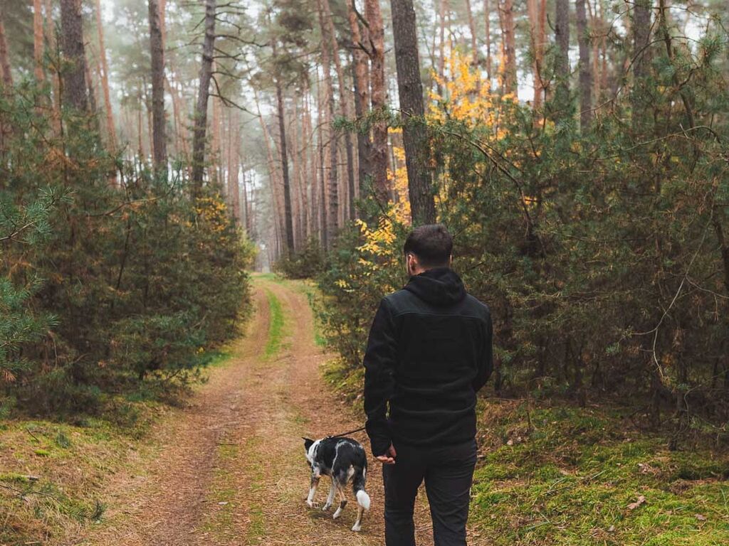 Trail fleece FZ men’s