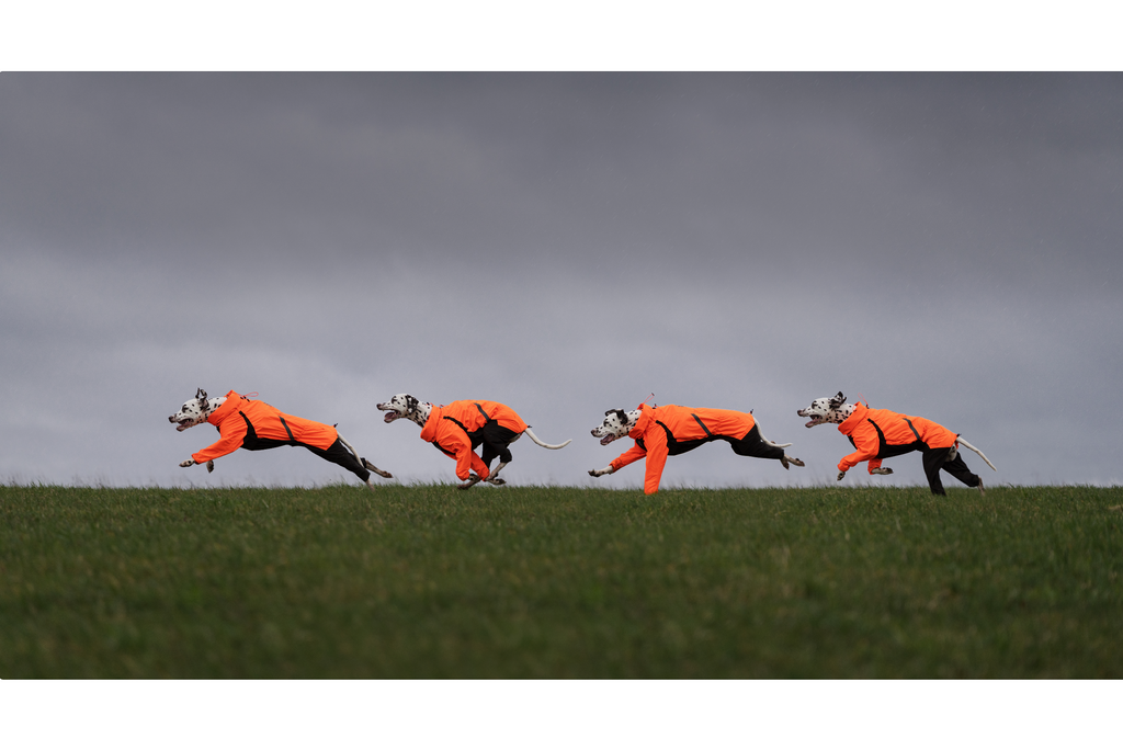 Fjord overall raincoat