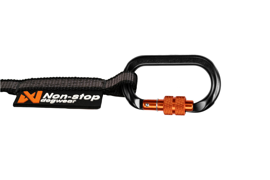Touring bungee leash