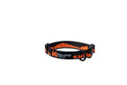 Trail quest collar