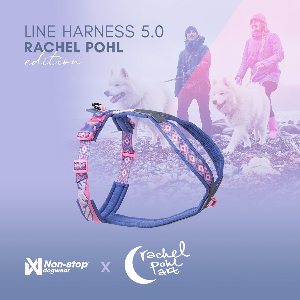 Line harness 5.0 Rachel Pohl edition