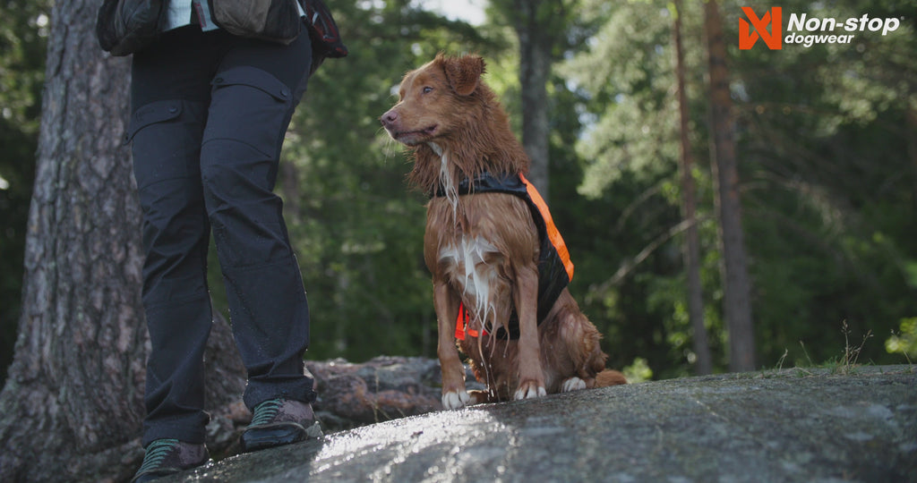 Protector life jacket
