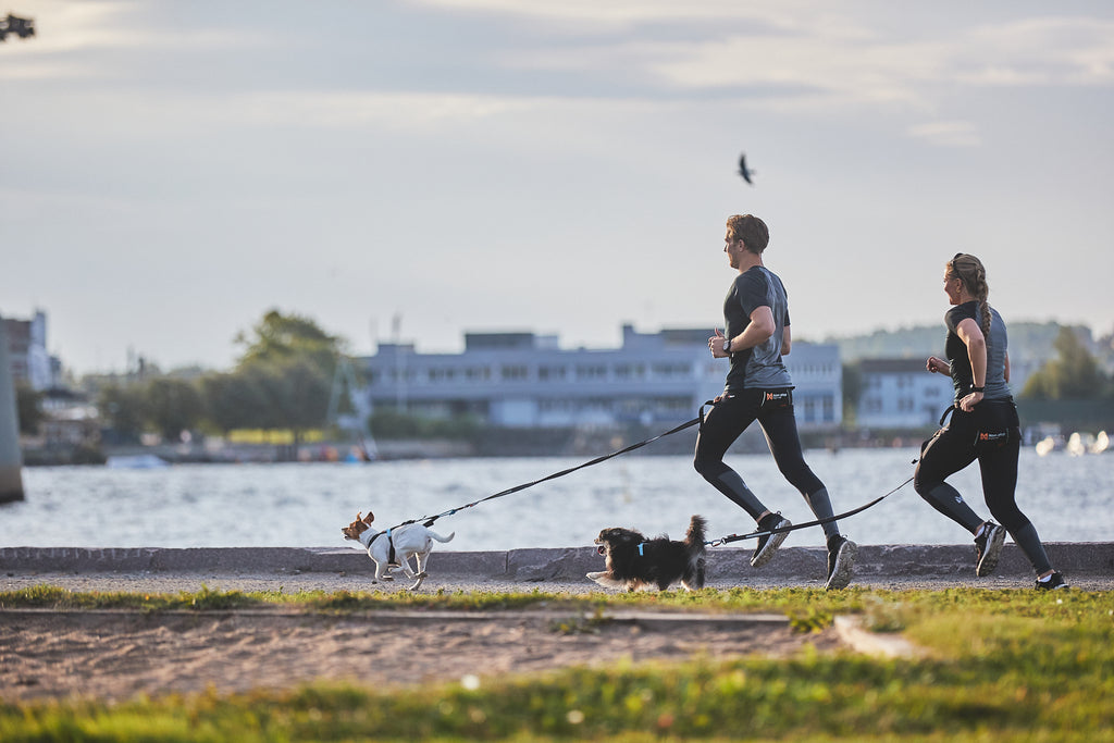 Touring bungee adjustable