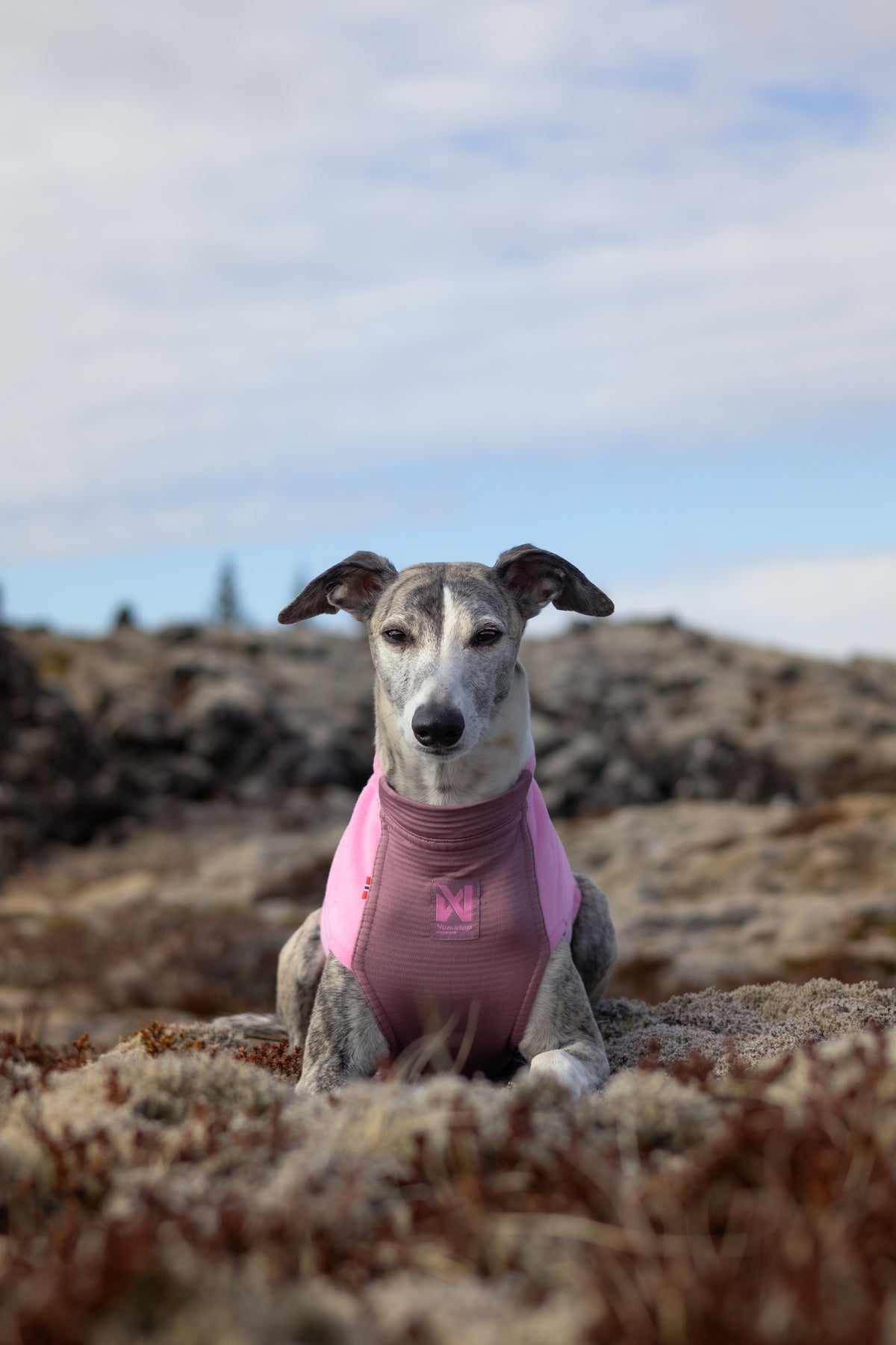 Trail quest fleece pullover