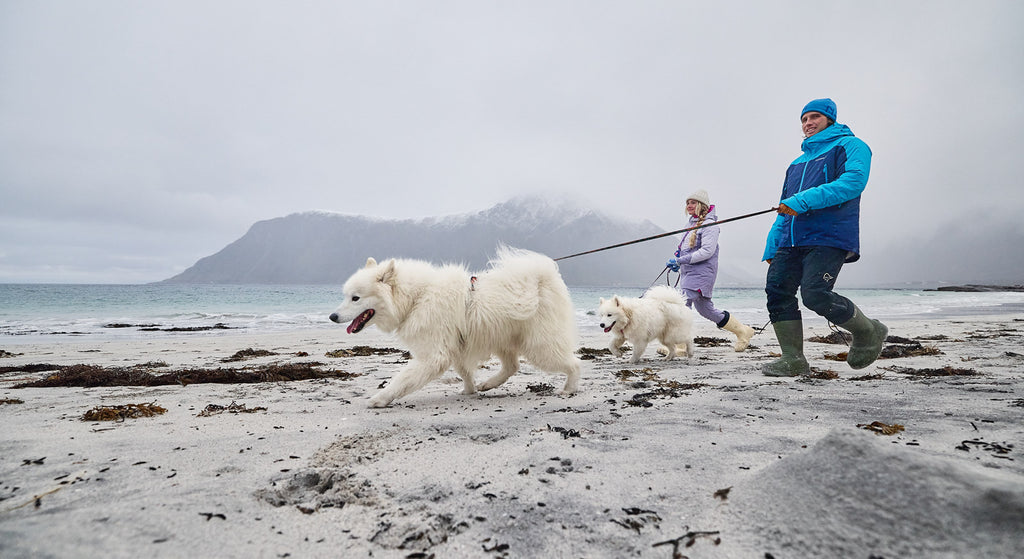 Trail quest leash Rachel Pohl edition